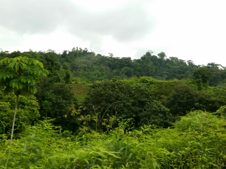 2016-06-27 03.57.01 1.jpg image